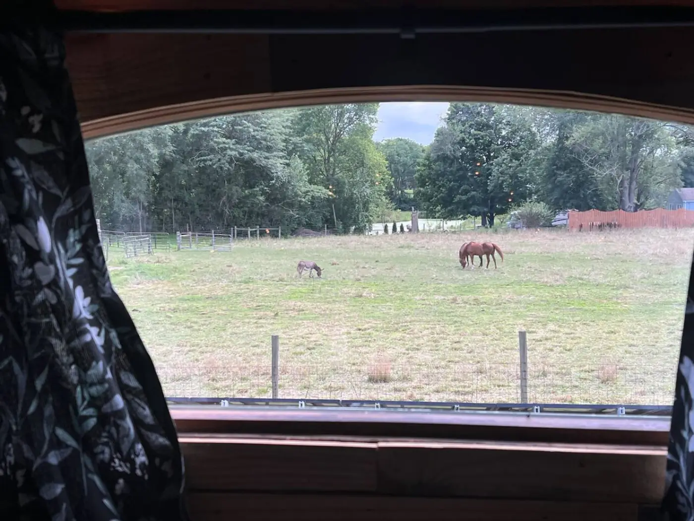 Photo 24 of Cowboy Bunkhouse — Hot Tub by the Lake
