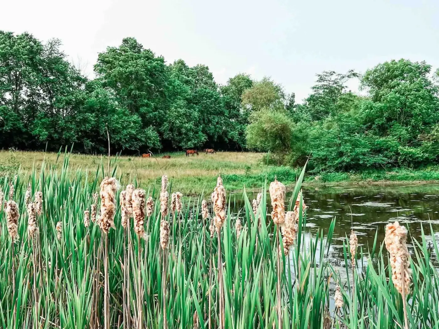 Photo 22 of The Teal Barn — Farm Stay with Hot Tub & Pond Views