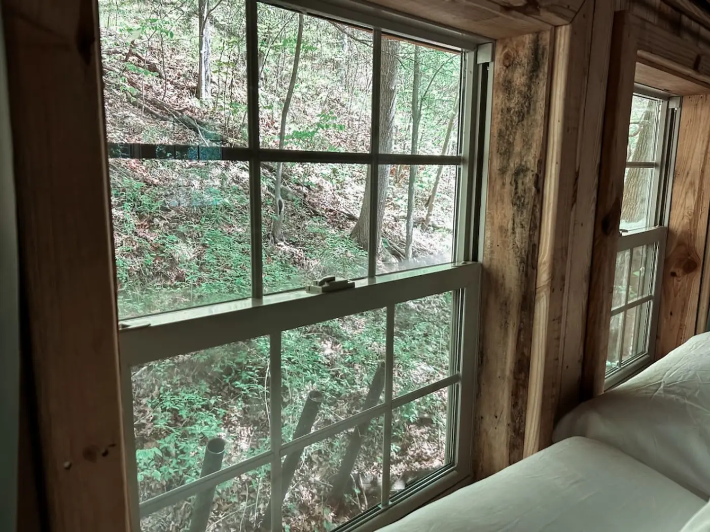 Photo 31 of The Hilltop Cabin — Lakefront with Hot Tub & Fire Pit