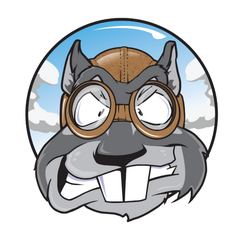Flying Squirrel Axe Throwing logo