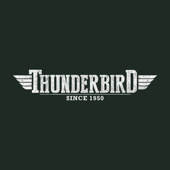 Thunderbird logo
